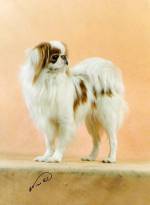 Омикудзи Арбатский Рыжий Листопад